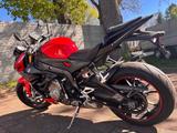BMW S1000R - Akrapovic, Sport- und Dynamikpaket - Motorräder in Erfurt