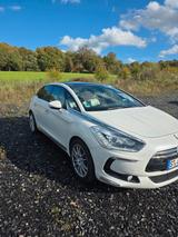 Citroën DS5 HDi 165 SportChic 163PS Diesel  - Citroën DS5 mit Diesel-Antrieb