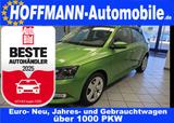 Skoda Fabia Ambition PDC,SItzheizung,Alufelgen,GRA - Skoda Fabia: Grün