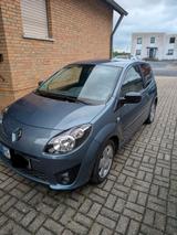 Renault Twingo Rip Curl mit getönten Scheiben hinten - Renault Twingo: Rip Curl