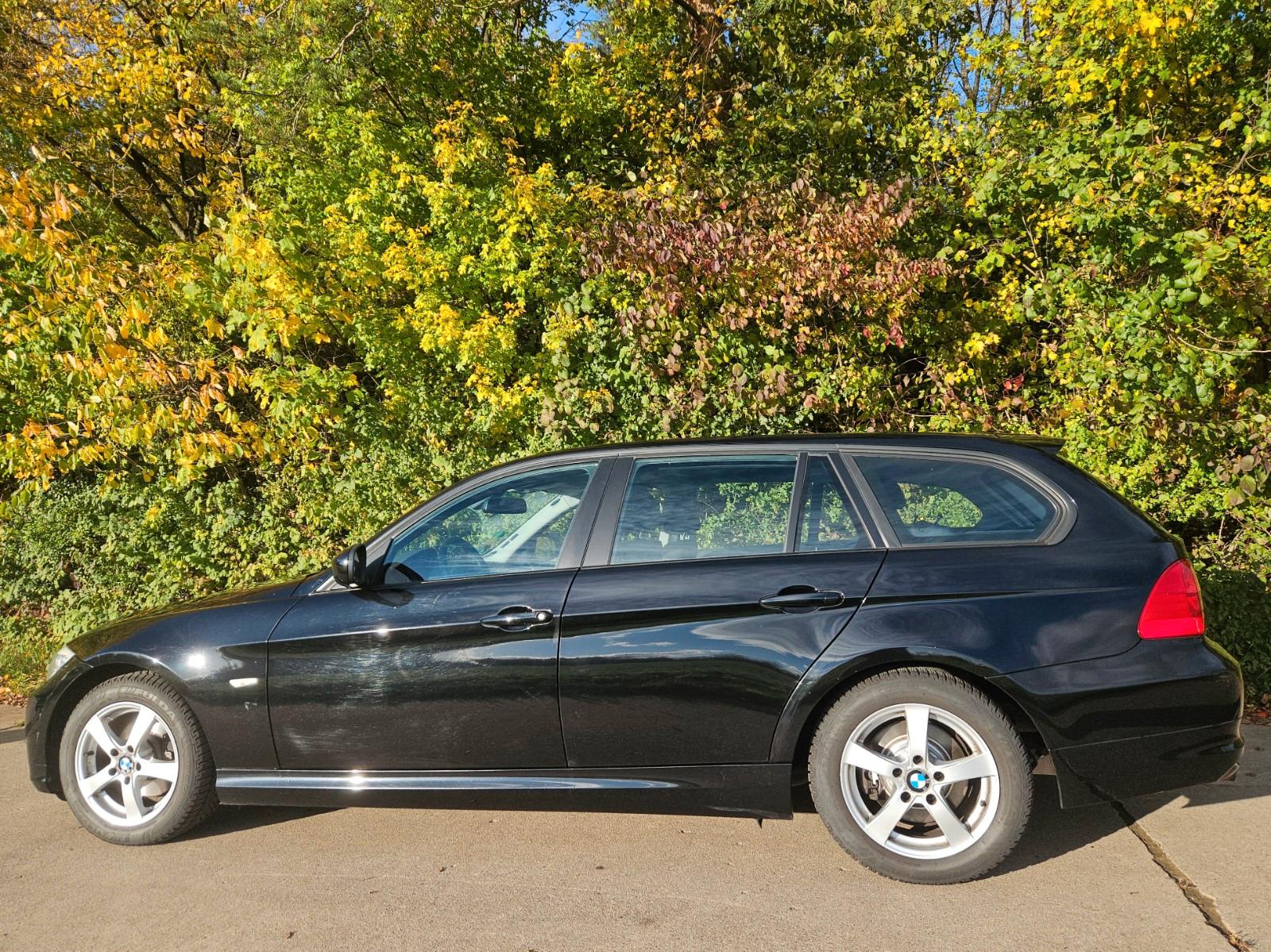 BMW 318 2011 — rear view
