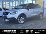 Opel Crossland X 1.2 Innovation ** AHK/Kamera/Navi ** - silberne Opel Crossland (X)