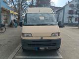 Fiat Rustikaler Van mit schnuckligem Holzausbau - Fiat Ducato mit Benzin-Antrieb