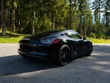 Porsche Cayman 981 Black Edition APPROVED - SAGA - 20" - Porsche Cayman: Black Edition