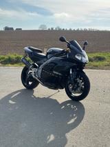 Triumph Daytona 955i - Angebote entsprechen deinen Suchkriterien