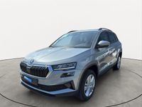 Skoda Karoq - Vorschau Bild 1