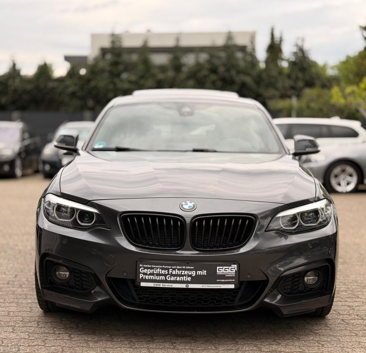 BMW 225d F22 Coupe Aut.M-Sport EMW Selection AHK H/K