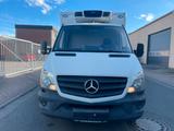 Mercedes-Benz Sprinter II Pritsche 310/311/313/314/316 CDI - Mercedes-Benz Sprinter: 313