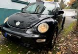 Volkswagen Beetle Youngtimer - gebrauchte VW Beetle aus dem Jahr 2000