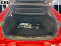 Renault Rafale - Vorschau Bild 13