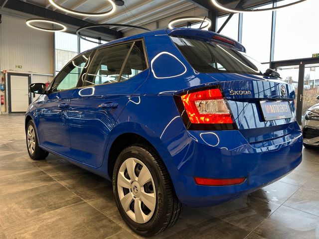 Skoda Fabia Active *1. Hand*Klima*Radio*Lichtautomatik
