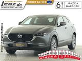 Mazda CX-30 Exclusive-Line Matrix Navi 360° HUD SHZ LM - Mazda CX-30: Exclusive Line