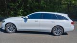 Mercedes-Benz E 200 T Autom. - Avantgarde, Pano, Fahrassistenz - Mercedes-Benz E-Klasse Gebrauchtwagen in Stuttgart