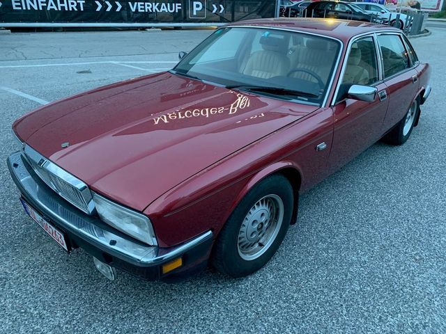 Jaguar XJ40 Automatik Leder Klima TÜV NEU
