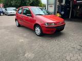 Fiat Punto 1.2 8V Dynamic Klima-E Fenster-ABS-Servo - Fiat Punto in Oberhausen