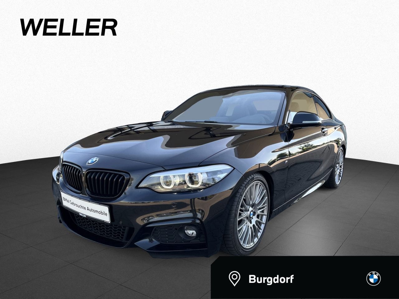 BMW 230i Coupe M Sport H/K RFK Pano SHZ Tempo LED