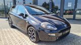 Fiat Punto Pop - Fiat Punto aus 2013
