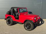 Jeep CJ5 V8 360 AMC - Jeep CJ Gebrauchtwagen