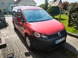 Volkswagen Caddy Maxi CNG/Erdgas mit Bett als Mini Camper! - VW Caddy Maxi mit Schiebedach
