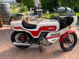 Yamaha CUP Z Restauriert H-Zulassung - Angebote entsprechen deinen Suchkriterien