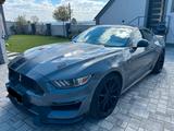 Ford Mustang 5.0 V8 Shelby gt 350 - Ford Mustang: Shelby Gt350