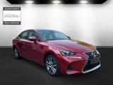 Lexus IS 300h Executive Line - Lexus Gebrauchtwagen von 2020