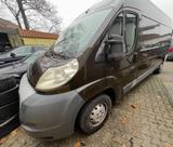 Fiat Ducato 250 *Klima*L2H2* - Fiat Ducato: 250l