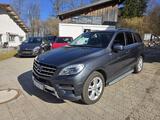 Mercedes-Benz ML 350 CDI BlueTec - Mercedes-Benz ML 350 aus 2015