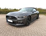 Ford Mustang 5.0 Ti-VCT V8 GT Cabrio 50 Jahre Edition - gebrauchte Ford Mustang aus dem Jahr 2015