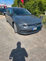 Volkswagen Zu verkaufen Vw golf 8 1.5 - Volkswagen Golf: Verkauf
