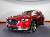 Mazda CX-30 e-SKYACTIV X 186ps 6AT FWD Exclusive Line - Mazda CX-30 in Dresden