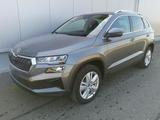 Skoda Karoq 2.0 TDI Selection DSG GV5 AHK 17
