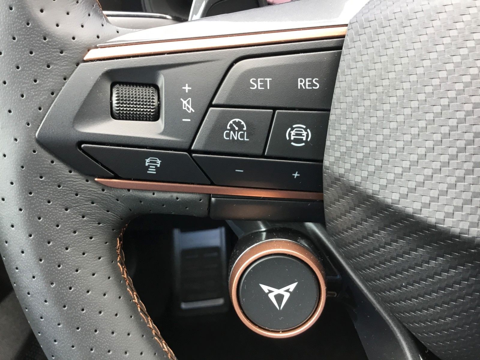 Fahrzeugabbildung CUPRA Formentor 2.0 TSI DSG 4WD+Pano+Matrix+AHK+19"