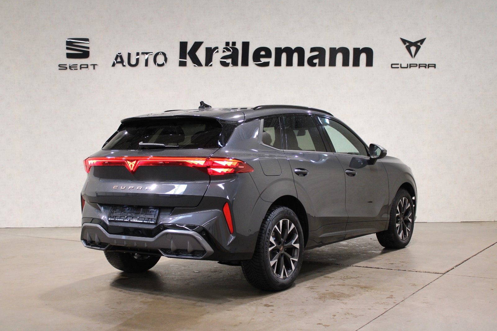 Cupra Terramar - Bild 7