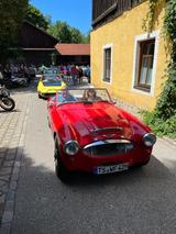 Austin Healey Rennwagen  Strassenzulassung FIA