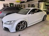 Audi TTRS 8J Suzukagrau, gepfeffert, Carbo... - Audi: Ttrs