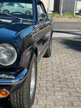 Ford Mustang 66, 302cui, 4V V8 Automatik, TOP - Ford: 302