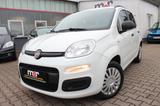 Fiat Panda Easy~KLIMA~EURO6 - Fiat Panda in Wiesbaden