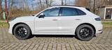 Porsche Macan Turbo Burmester Luft Pano - Porsche Macan in Karlsruhe
