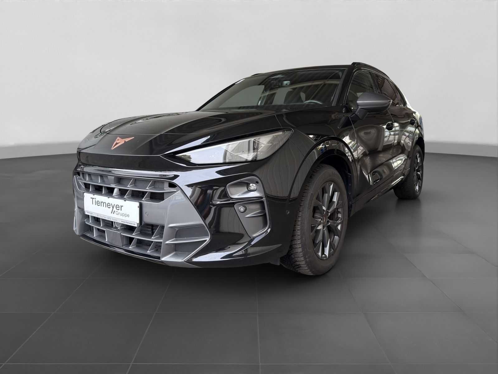 Cupra Terramar - Bild 2