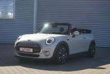 MINI Cooper Cabrio Aut. LED Navi Leder - MINI Cooper Cabrio: Automatik
