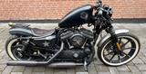 Harley-Davidson XL 883 Iron