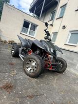 Triton Reactor 450 - Angebote