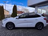 Ford Kuga ST-Line KAMERA KEYLESS KLIMAAUTO DAB - Ford Kuga: Weiß