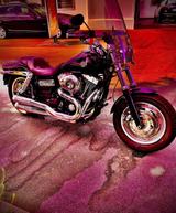 Harley-Davidson Fatbob  - Motorräder in Ludwigshafen