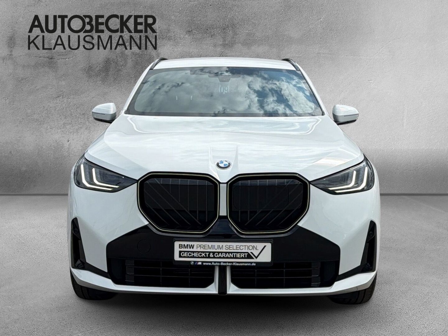 BMW X3 20d xDrive M SPORT PRO 19'' AHK MEMORY PARK foto 5