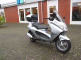 Piaggio X8 250 - PIAGGIO VON 126 BIS 250 CCM