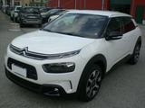 Citroën C4 Cactus 1.2 puretech Shine s&s 110cv m - gebrauchte Citroën C4 Cactus aus dem Jahr 2020