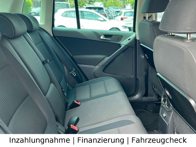 Bild 17