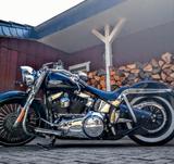 Harley-Davidson Softail FLSTC  - HARLEY-DAVIDSON FLSTC